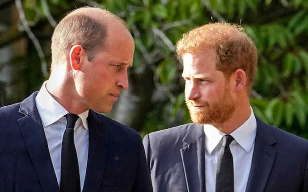 WILLIAM & HARRY 04