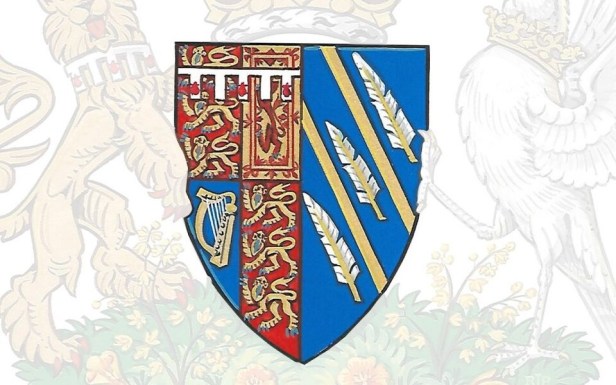 MEGHAN's Coat of Harms 02